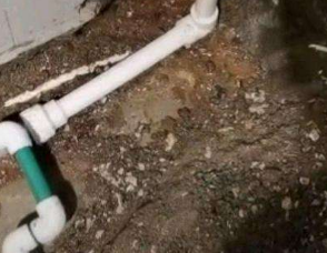 晋州卫生间测漏水服务电话