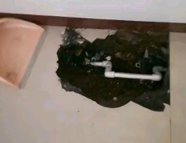 晋州卫生间测漏水多少钱